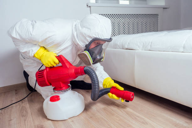 Best Real Estate Pest Inspections  in Darmstadt, IN